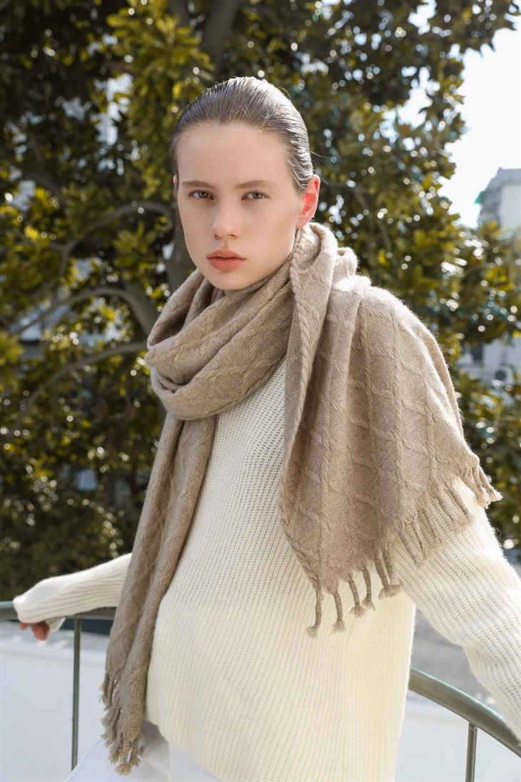 Cashmere Shawl Price